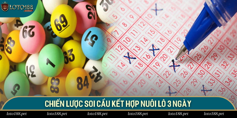 Chiến lược soi cầu kết hợp nuôi lô 3 ngày
