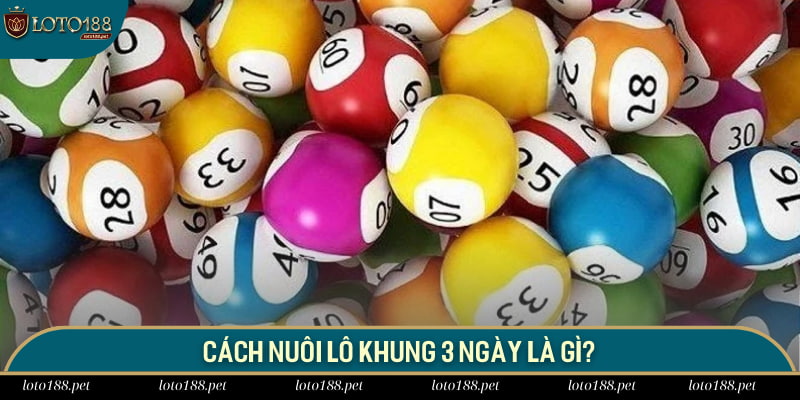 Cách nuôi lô khung 3 ngày là gì?