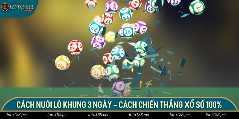 Cách nuôi lô khung 3 ngày