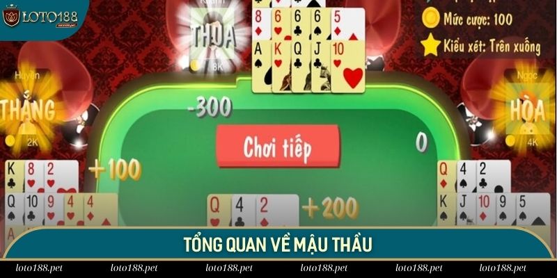 Tổng quan về mậu thầu