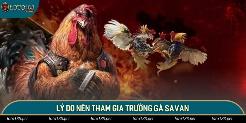 Đấu trường Savan thu hút nhiều người chơi nhờ vào chất lượng vượt trội