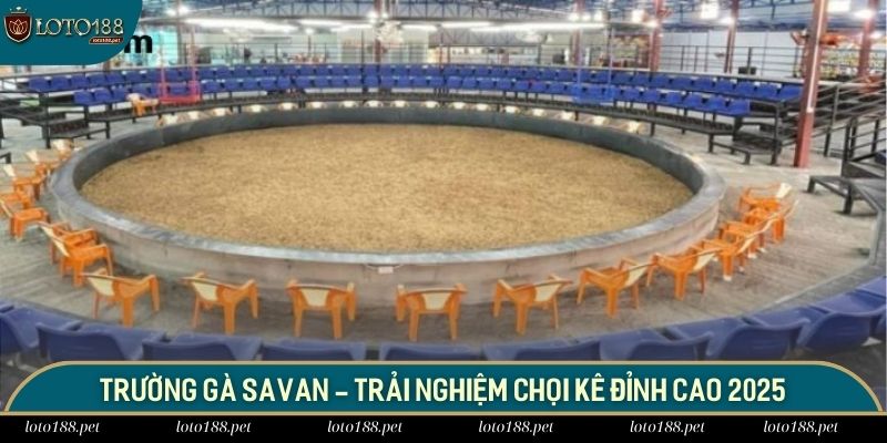 Trường gà Savan