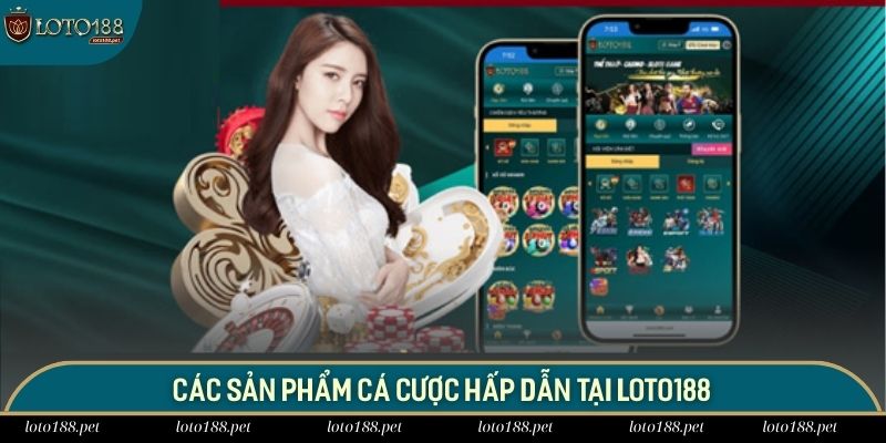 Về Chúng Tôi 3 Hội viên không thể bỏ qua các sản phẩm hot hit tại Loto188