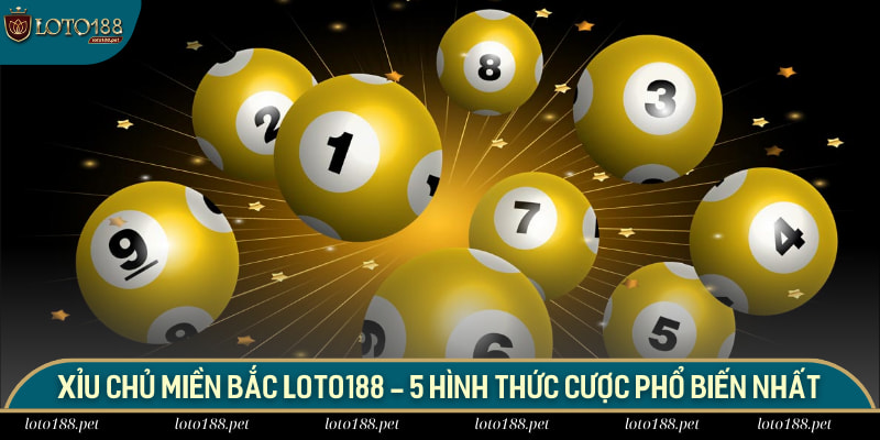 Xỉu chủ miền Bắc
